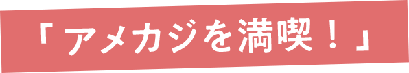 「アメカジを満喫！」