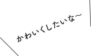 かわいくしたいな〜